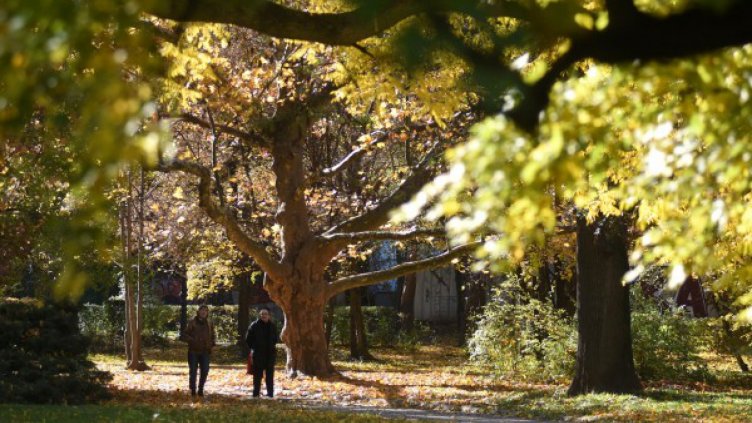 Чудно време през септември, много слънце и малко дъжд