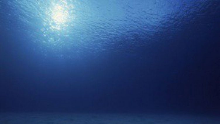 В земната кора под океана има живот