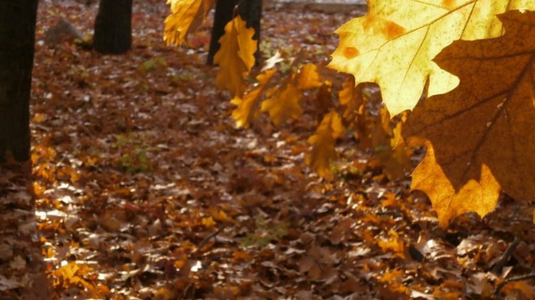 Облачността намалява, температурите стигат до 16 градуса