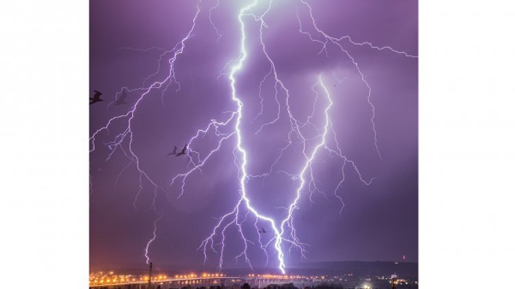 Снимка Пламен Гутинов (архив)