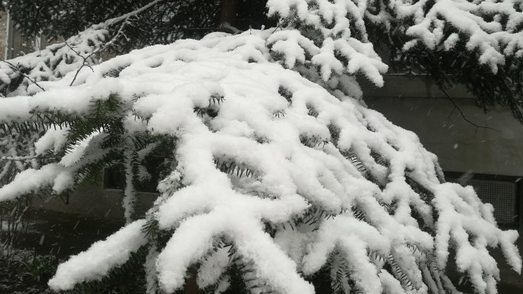 Директорът ПСС обяви кога има предпоставки за лавини в планините