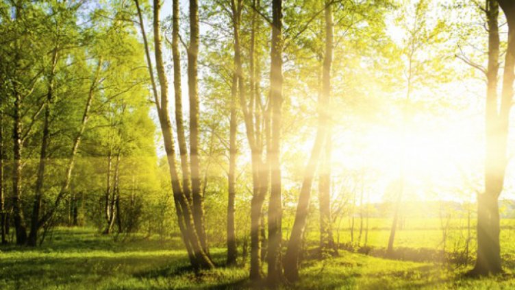 Днес ще е слънчево с максимални температури между 30° и 35°