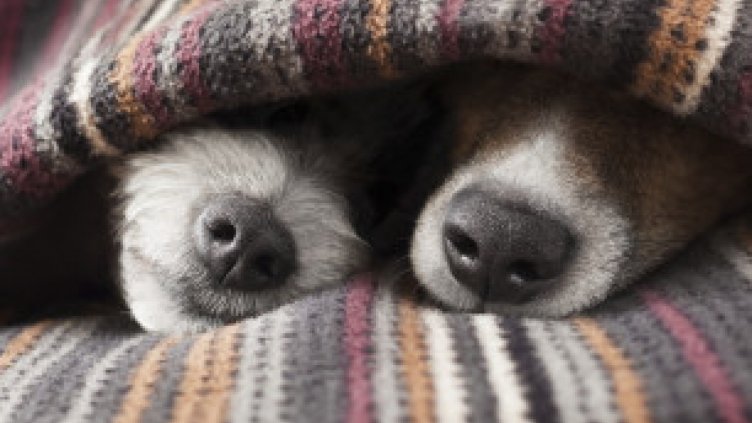 Слънчево, но студено ще бъде днес