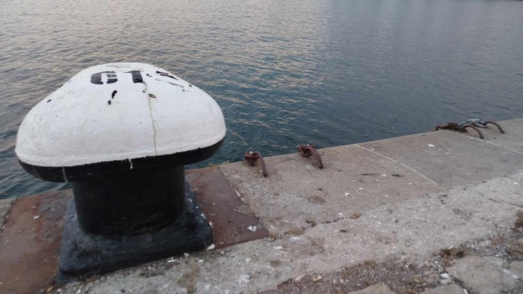 ИАРА: Над 120 кг незаконно уловени миди са засечени в района на Варна