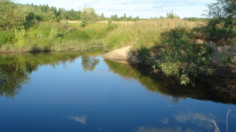 Реките в областта са в коритата си