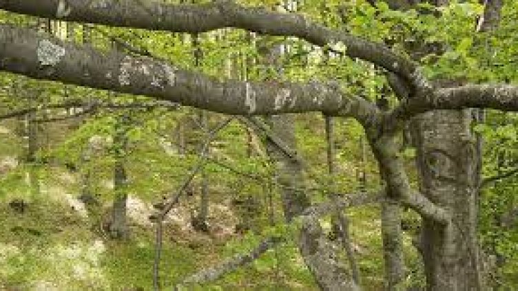 Обследват проводимостта на деретата и речните корита в Североизтока