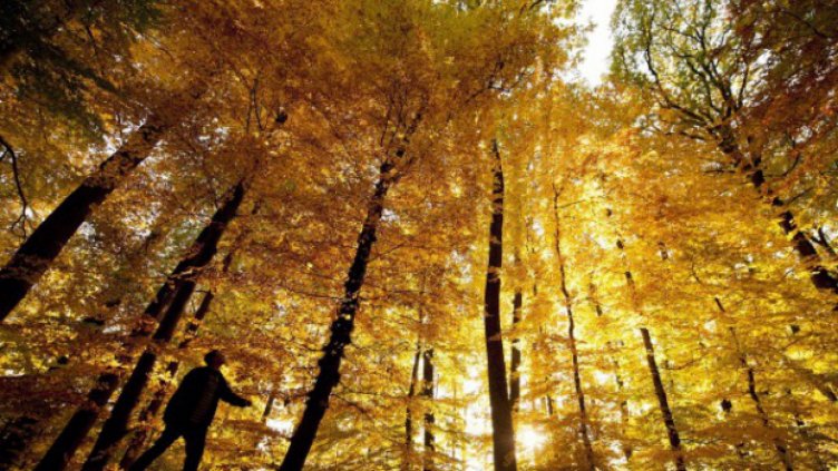 Неделя ни посреща с дъжд, но пък с температури до 10°C