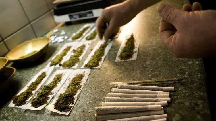 Разкриха наркоферма в гарсониера в Бургас