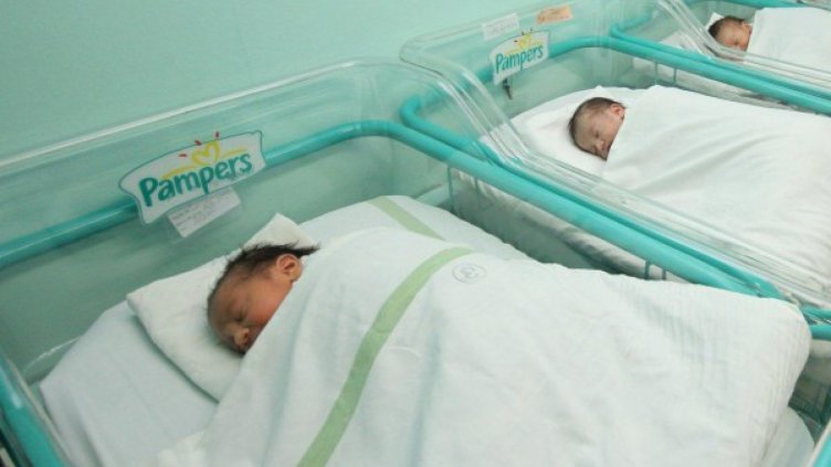 Бебетата се увеличават, повечето са момчета