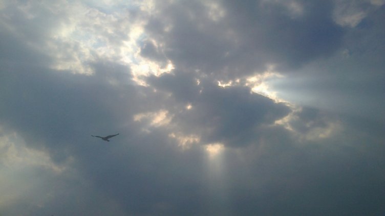 По Черноморието ще преобладава променлива облачност