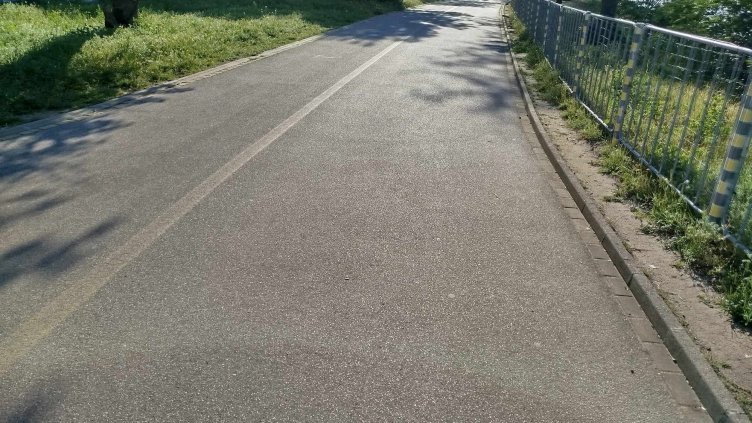 Представиха нова идея за зацветяване на Морската градина