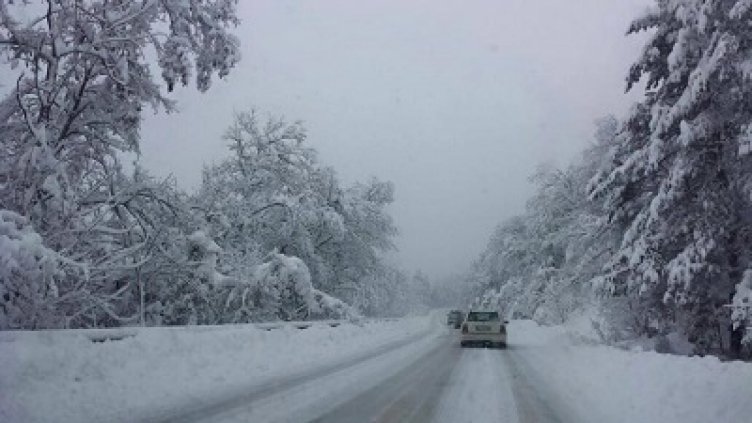 Снимка: Pz-info