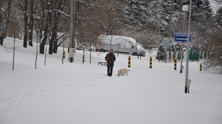 Дъжд и поледици