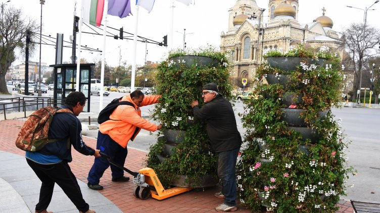 Прибират за зимата цветарниците от центъра на Варна
