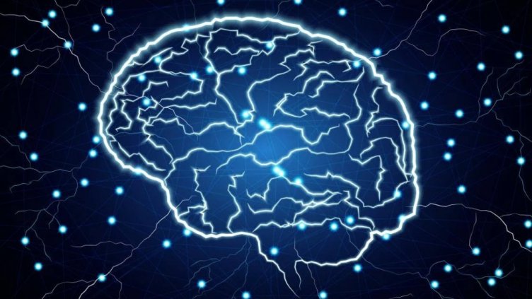 Отбелязваме Световния ден на мозъка