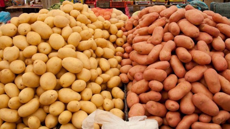 Ден – година храни. Внасят картофи по 25 ст. килото, продават ги над левче