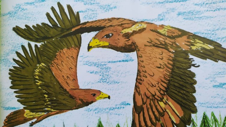 Горските обявиха конкурс за рисунка „Земите и горите на орела” 