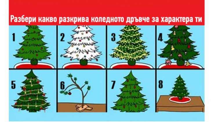 Изберете коледна елхичка и вижте какво ще разкрие тя за вашата личност!