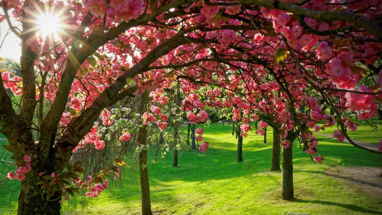 Настъпи астрономическата пролет