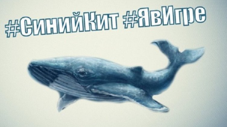 Играта "Син кит": Измислен сюжет или реална заплаха за децата?