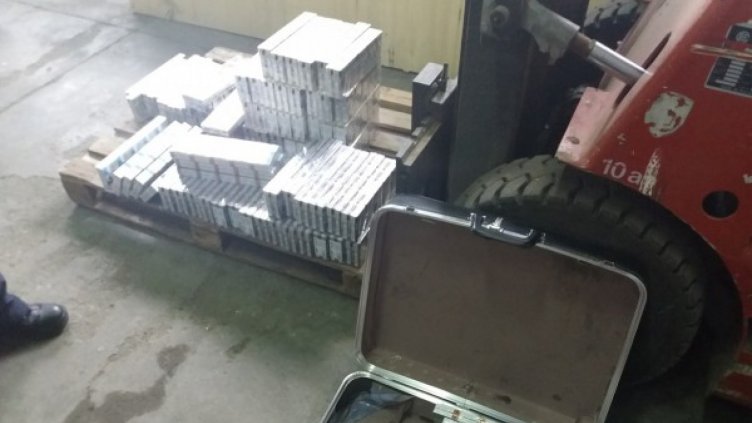 Митничарско куче откри над 4000 кутии цигари на "Дунав мост"
