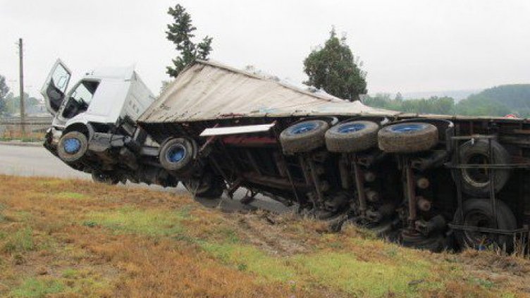 Тирове рушат село, местните си "берат" нарове и зеле
