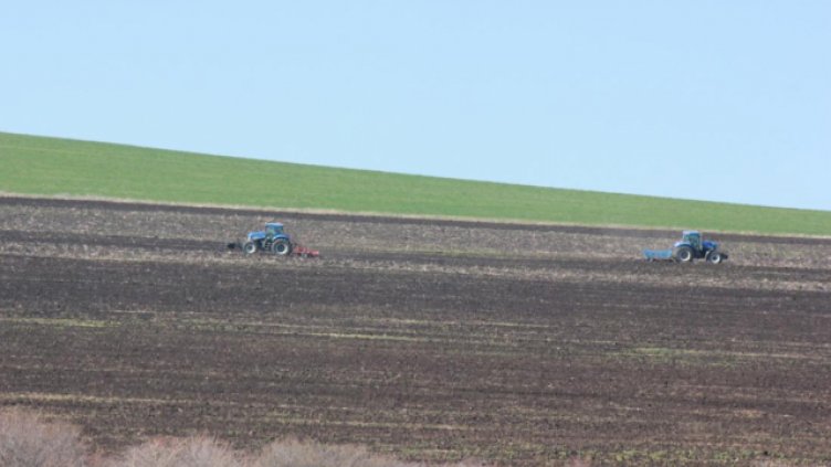 1 343 лв. средно струва декар земя във Варненско