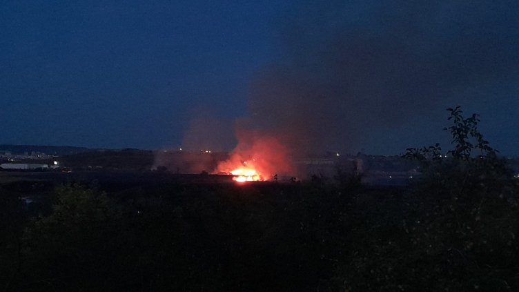 Овладян е пожарът в гората на Каменар