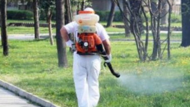 Продължава пръскането против кърлежи и насекоми във Варна