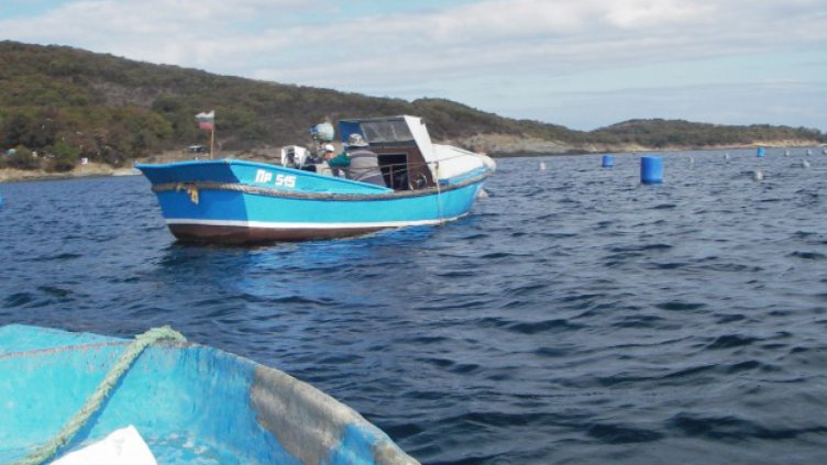 Експерт: 2018 г. ще много силна за усвояване на еврофондовете