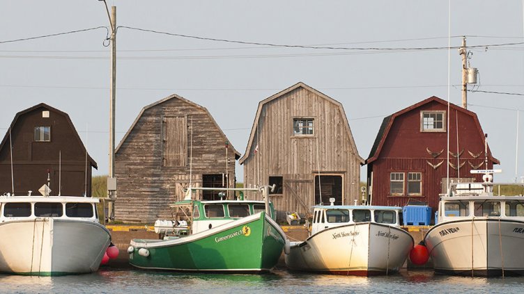 Безусловният базов доход е неприложим в България, смятат експерти
