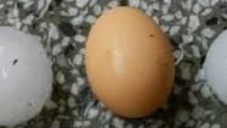 Градушка удари Провадия