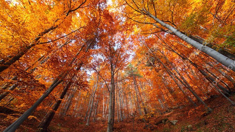 Очаква ни сравнително топъл понеделник  