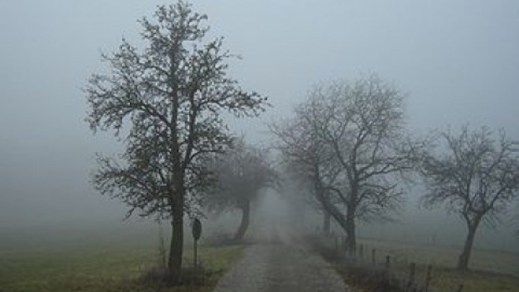 Облачно, но без валежи днес