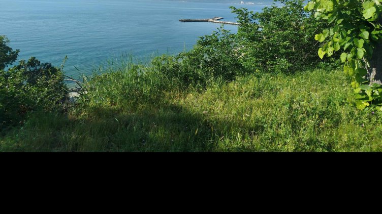 Какво ще бъде времето във вторник?