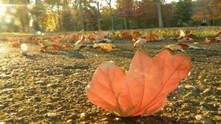 Чака ни хубаво време до септември