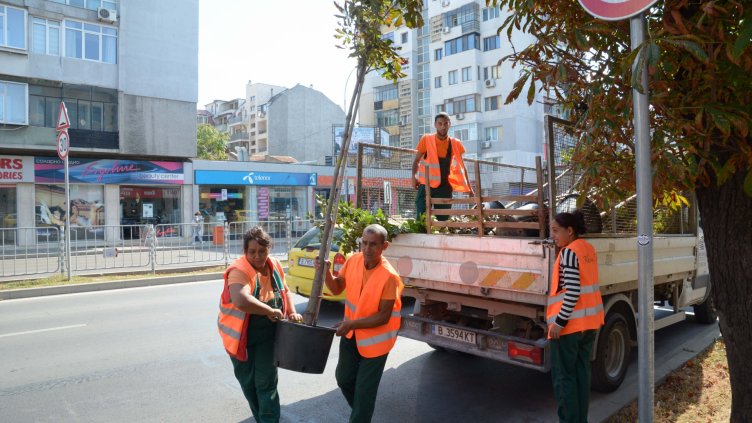 Снимка: Община Варна