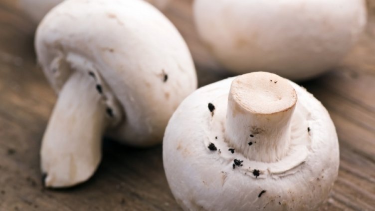 Отровните печурки от 10 дни на пазара