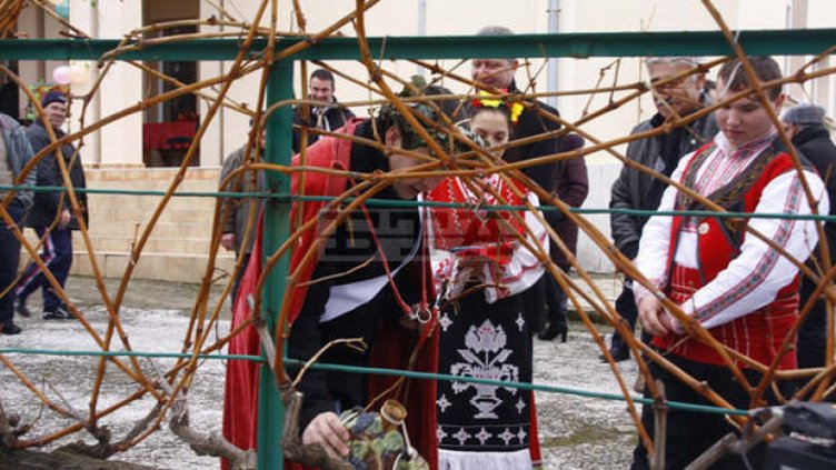 Ученици представиха произведено от тях вино