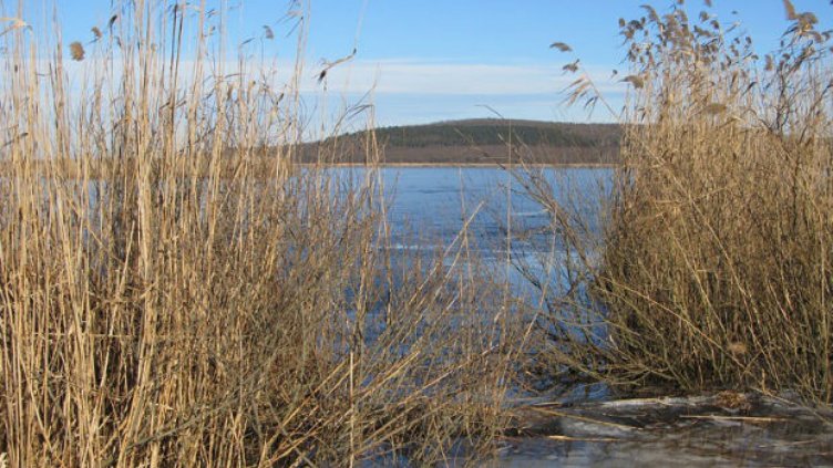 Забраниха достъпа до Варненското езеро