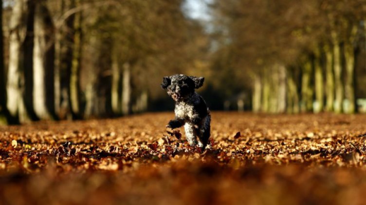 Уикендът започва с облаци и температури между 14°C и 19°C