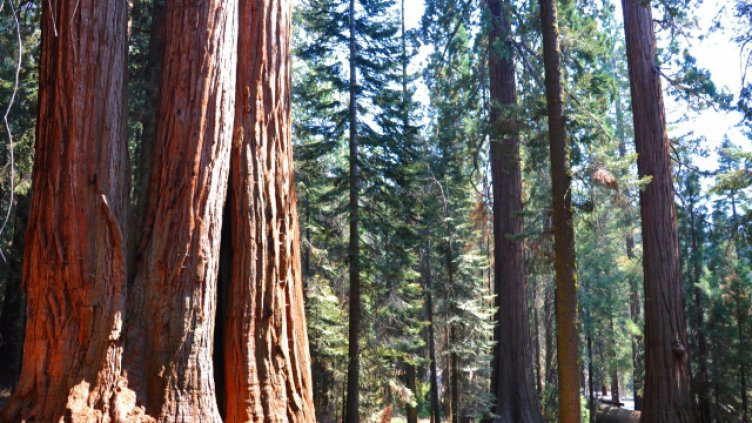 Международния ден на планините отбелязваме днес