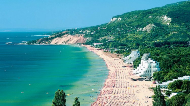 Екстри: В Несебър предлагат сладолед за кучета, в Албена може да се плаща с биткойни