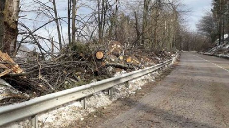 Тунел под Петрохан, ама друг път. Защитени територии са! Проектът – спрян