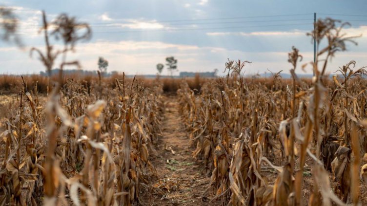 5 души загинаха при престрелка във ферма в Русия