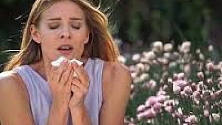 Всеки трети българин има алергия