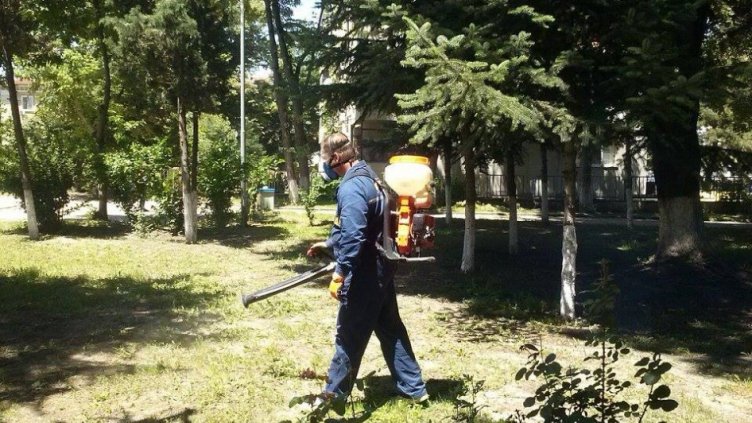 Започва есенно-зимната дератизация във Варна