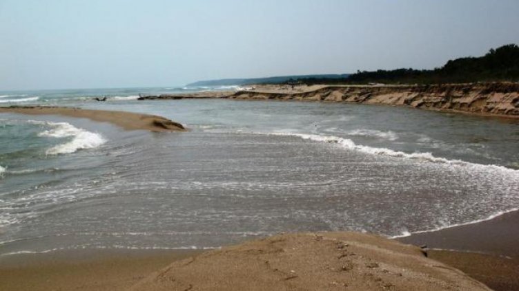 Удавник изплува в устието на река Камчия