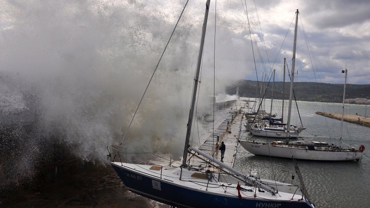 Снимки Пламен Гутинов