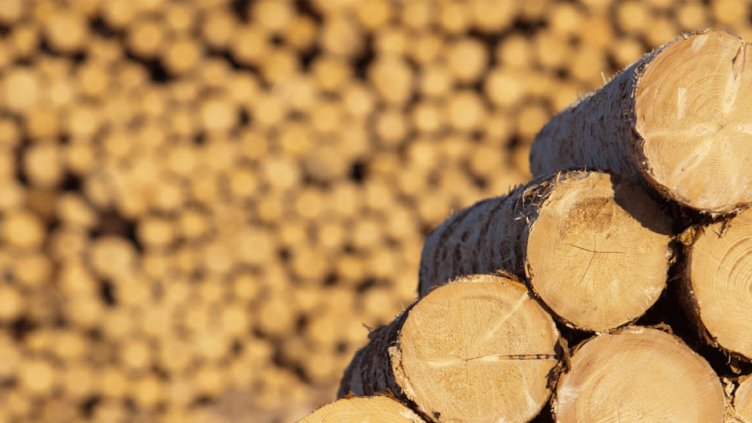 Увеличават се семействата, отопляващи се с дърва